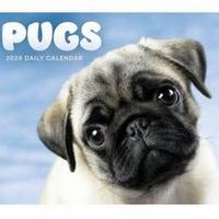 Pugs 2026 Desk Calendar