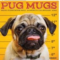 Pug Mugs 2026 Calendar
