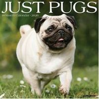 Pugs 2026 Calendar