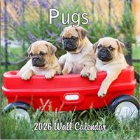 Pugs 2026 Calendar