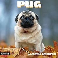 Pugs 2026 Calendar