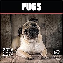 Pugs 2026 Calendar