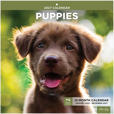 2027 Puppies Calendar