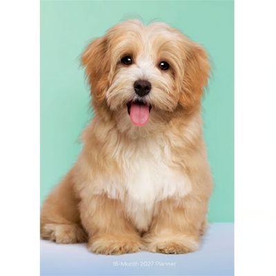 Puppies 2027 Engagement Planner