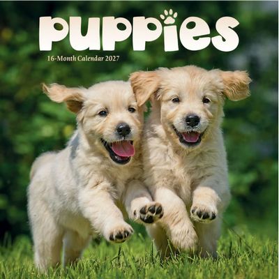 Puppies 2027 Mini Wall Calendar