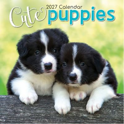 Cute Puppies 2027 Wall Calendar