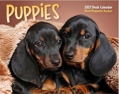Puppies 2027 Desk Calendar