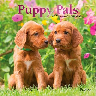 Puppy Pals 2027 Mini Wall Calendar