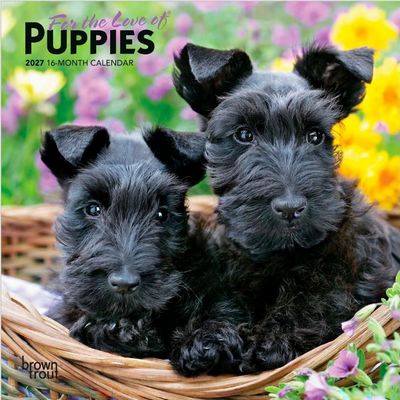 For the Love Puppies 2027 Mini Wall Calendar