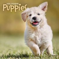 Puppies 2026 Wall Calendar