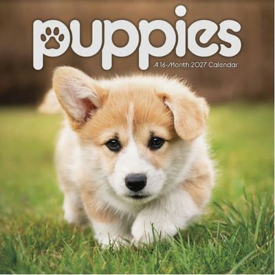 Puppies 2027 Wall Calendar