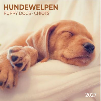 Puppy Dogs 2027 Wall Calendar