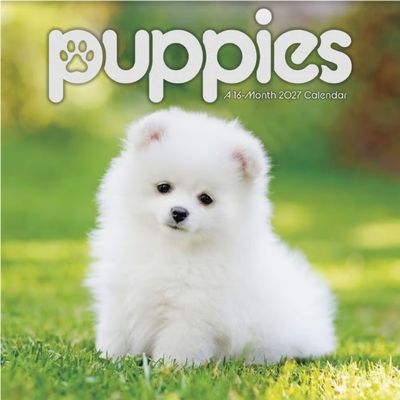 Puppies 2027 Mini Wall Calendar
