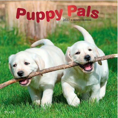 Puppy Pals 2027 Wall Calendar