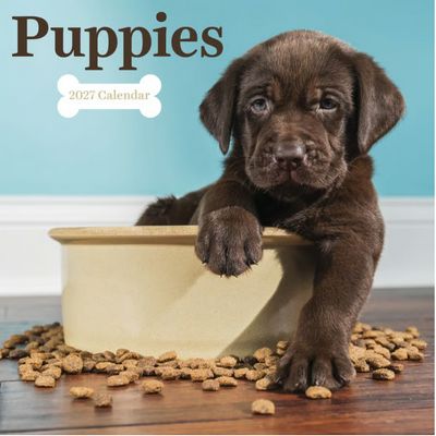 Puppy Pals 2027 Wall Calendar