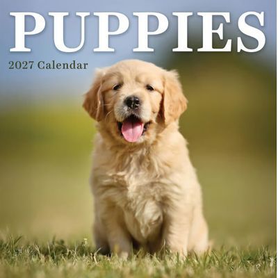 Puppies 2027 Mini Wall Calendar