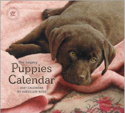 Puppies 2027 Mini Wall Calendar