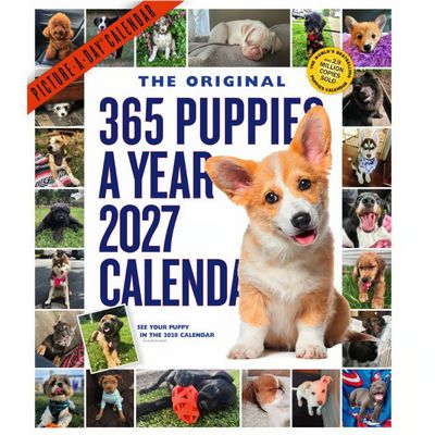 365 Puppies-A-Year Picture-A-Day 2027 Wall Calendar