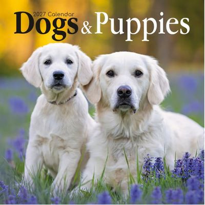 Dogs and Puppies 2027 Wall Calendar