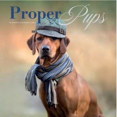 Proper Pups 2027 Wall Calenda