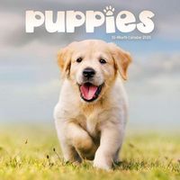 Puppies 2026 Mini Wall Calendar