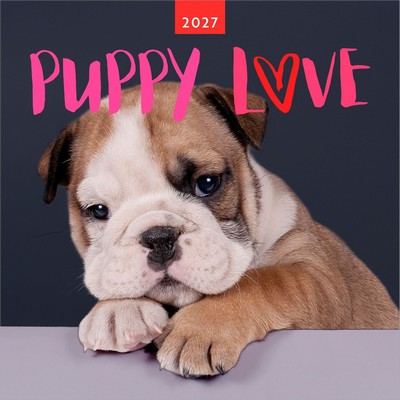 Kittens And Puppies 2027 Wall Calendar