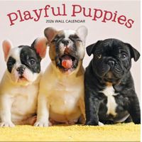 Playful Puppies 2026 Wall Calendar