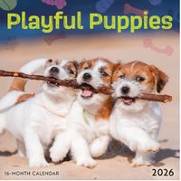 Playful Puppies 2026 Mini Wall Calendar