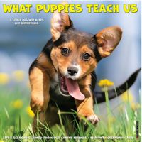 What Puppies Teach Us 2026 Wall Calendar