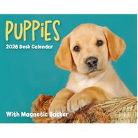 Puppies 2026 Desk Calendar