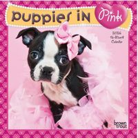 Puppies in Pink 2026 Mini Wall Calendar