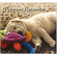 Puppies 2026 Wall Calendar by Sueellen Ross