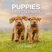 Puppies 2026 Wall Calendar