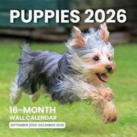 Puppies 2026 Wall Calendar