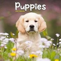Puppies 2026 Wall Calendar
