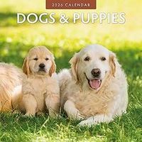 Dogs & Puppies 2026 Wall Calendar
