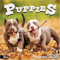Puppies 2026 Wall Calendar