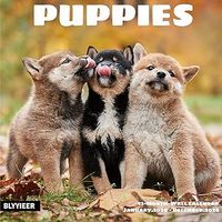 Puppies 2026 Wall Calendar