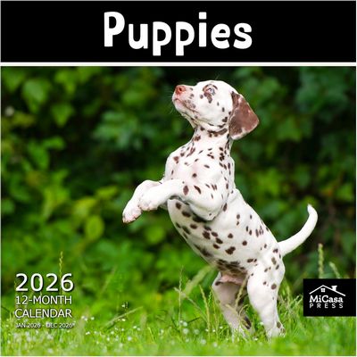 Puppies 2026 Wall Calendar