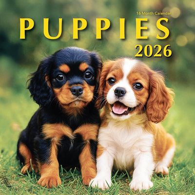 Puppies 2026 Wall Calendar