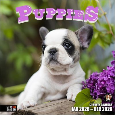 2026 Puppies Calendar