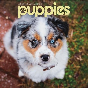 Puppies 2026 Mini Wall Calendar