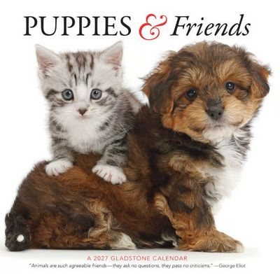 Puppies & Friends 2027 Wall Calendar