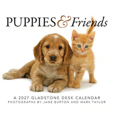 Puppies & Friends 2027 Desk Calendar