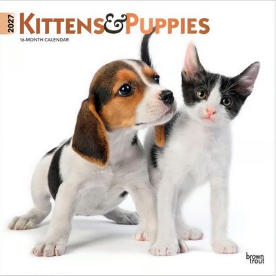Kittens And Puppies 2027 Wall Calendar