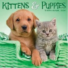 Puppies 2026 Calendar
