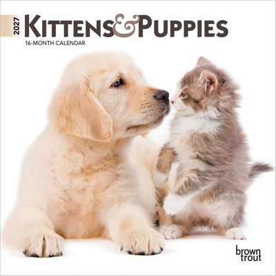 Kittens And Puppies 2027 Wall Calendar