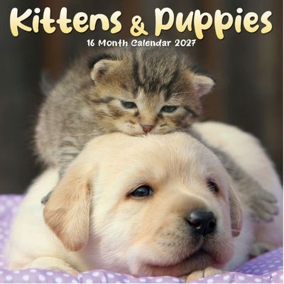 Kittens And Puppies 2027 Mini Wall Calendar