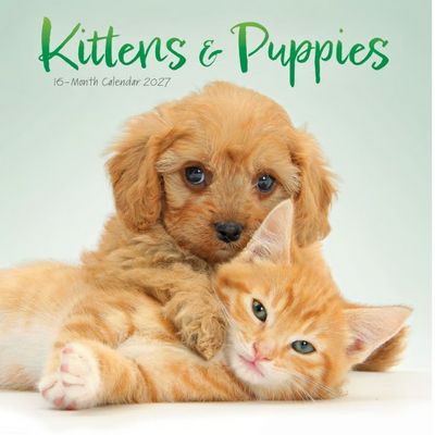 Kittens And Puppies 2027 Mini Wall Calendar