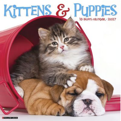 Kittens And Puppies 2027 Wall Calendar